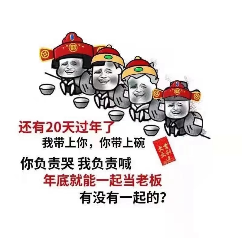 还有20天就过年了我带上你你带上碗你负责哭我负责