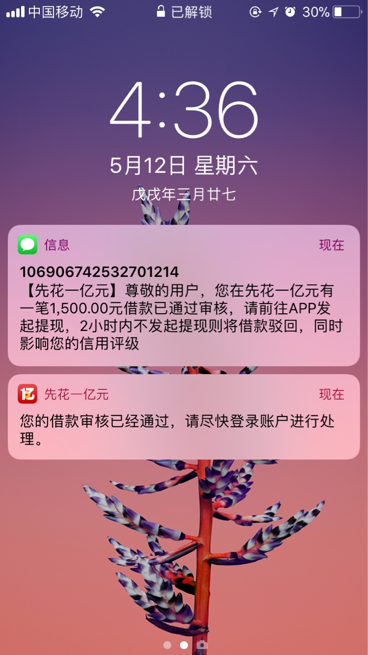 感谢首页老哥分享的【先花一个亿】，审核通过贷放款了这几天跟风的就这一个过88 / 作者:有机很幸福 / 