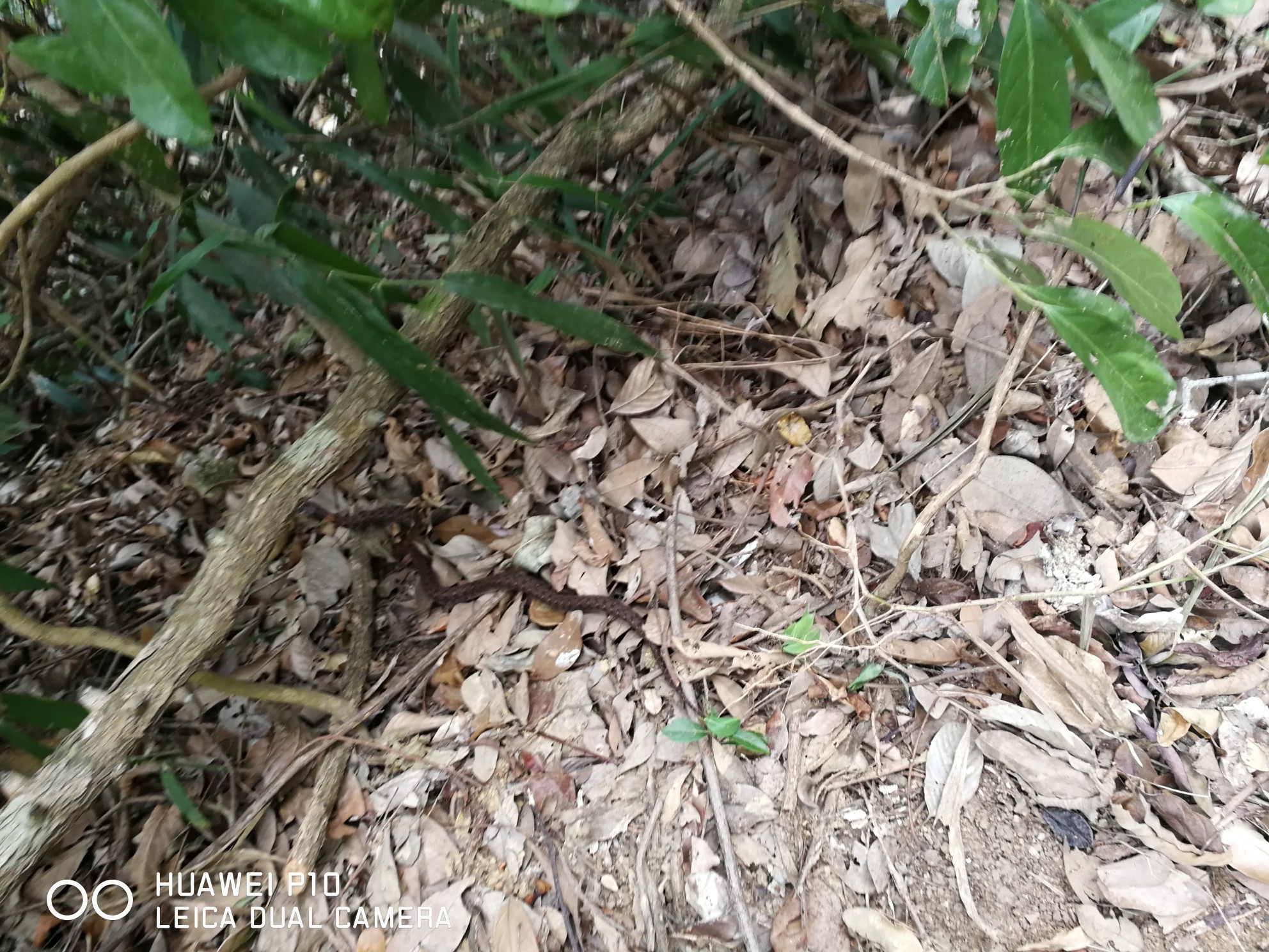 中国银行提额问题这两天看到朋友圈有中介说可以提额50%，搜了一下搜索说有捐90 / 作者:卷卷1985 / 