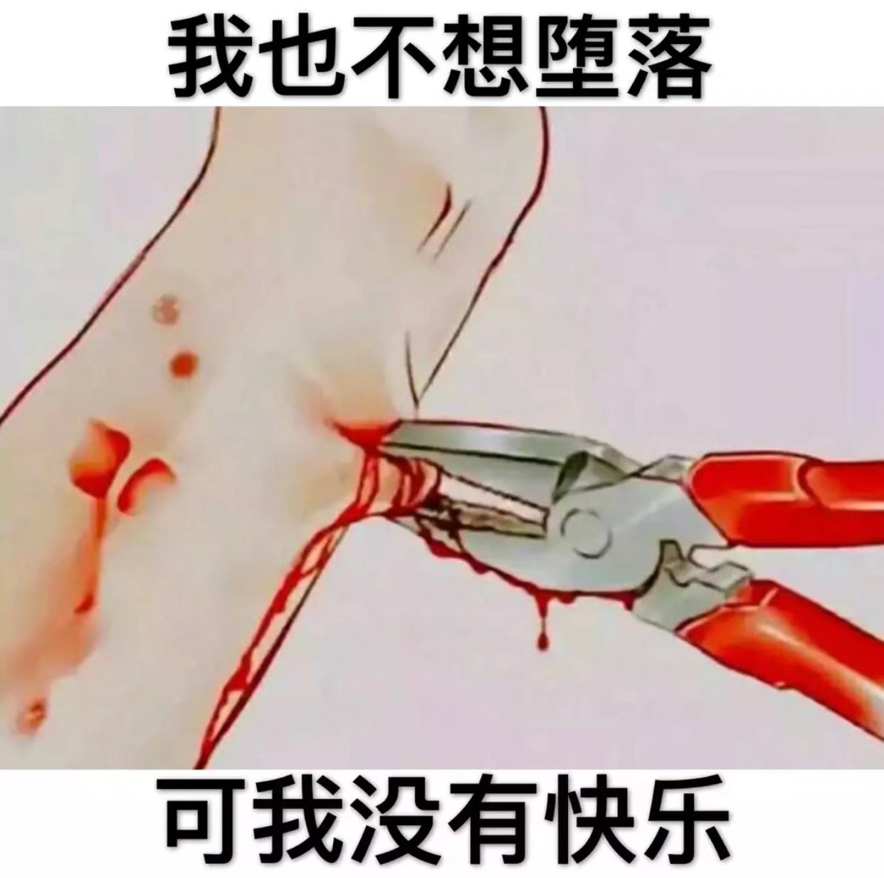 条子免审的条子哪位老哥有啊，帮忙推两个准备买回家的车票


9 / 作者:涛大大丫 / 