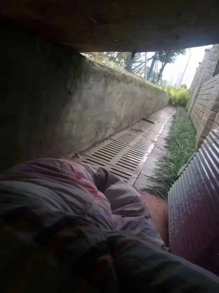 瘫痪在浙江，和一卡农老哥住桥洞好瘫痪在浙江，和一卡农老哥住桥洞好几天了好0 / 作者:ふ大米ヾ / 