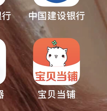 宝贝当铺是真口子吗？到审核那步骤时候有前期快速审讯费用，

88 / 作者:王禹亭 / 