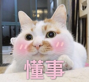 半夜睡不着，上来水一贴
32 / 作者:走走啊 / 