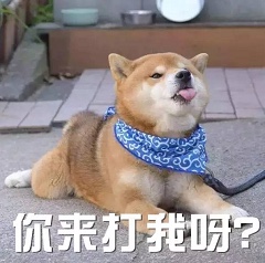 谢谢你:迷迷贷和柯基贷（卡农大大勿删）自借条强制后，基本与世隔绝，家人的30 / 作者:走走啊 / 