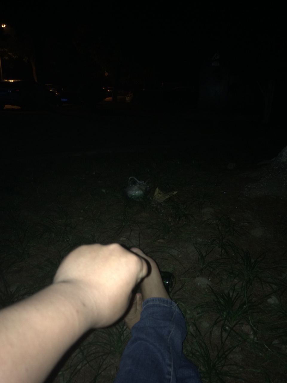 双黑跑路瘫痪有老哥吗双黑撸无可撸，全部逾期几个月了，每天都催收的电话  心18 / 作者:从心开始v / 