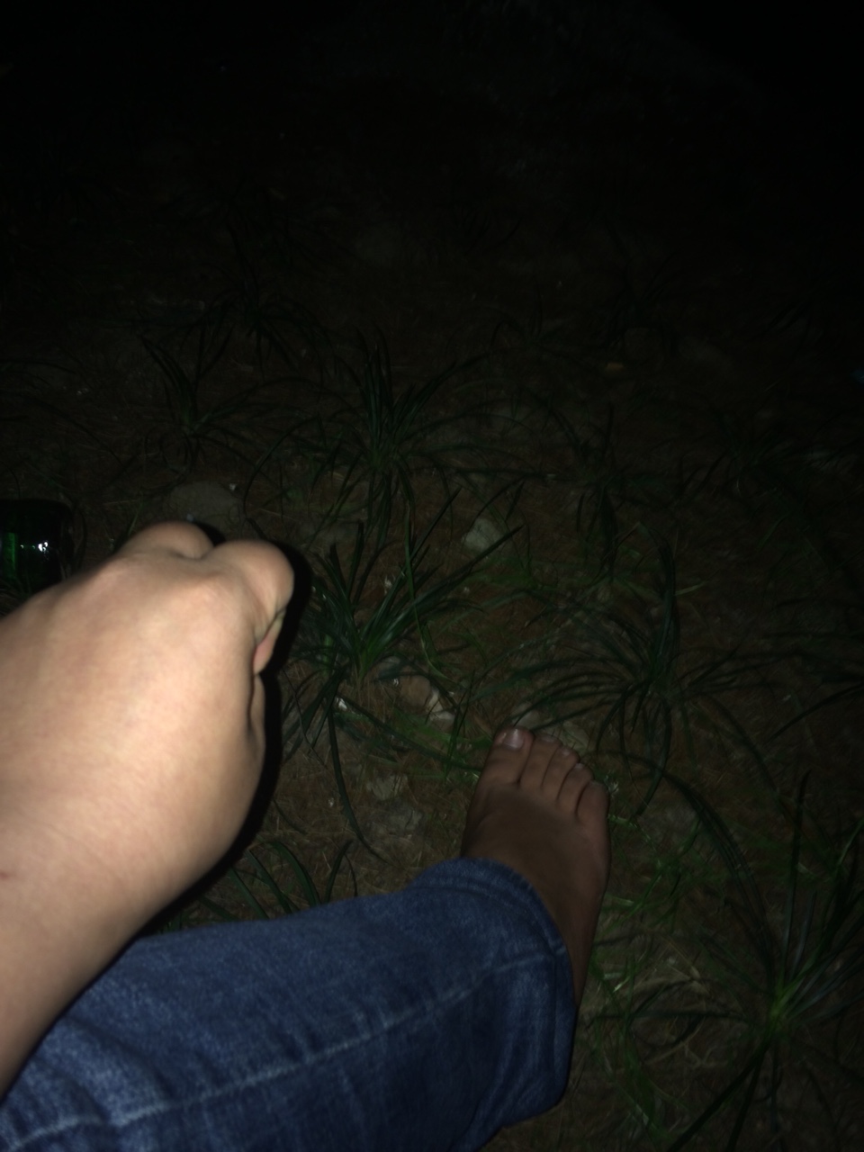双黑跑路瘫痪有老哥吗双黑撸无可撸，全部逾期几个月了，每天都催收的电话  心66 / 作者:从心开始v / 