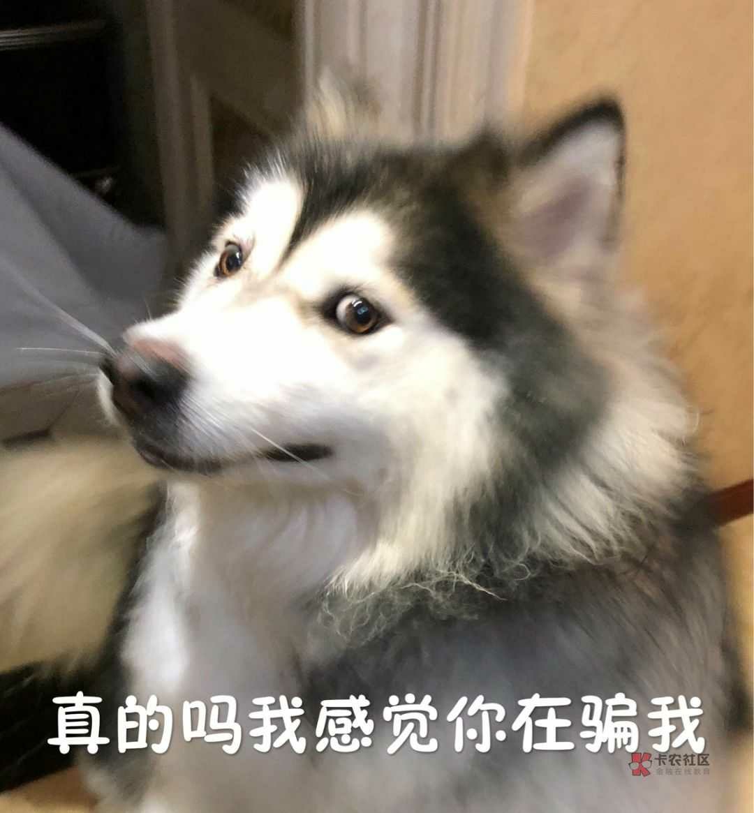 拍拍贷到底上不上征信？？？网上各种回答都有，有说不上的也有说收到或短信，48 / 作者:啦啦啦45225 / 