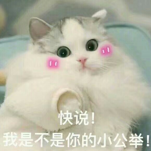 秒白条逾期什么时候催收？催收厉害吗？有秒白条逾期的老哥分享一下，秒白条上62 / 作者:小花花儿 / 