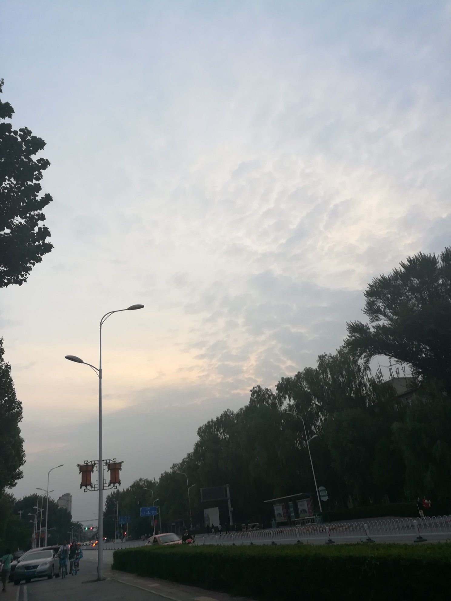 成皇了，各种逾期了，明天是强制还是天天撸以贷养贷？明天各种逾期了，银行卡74 / 作者:阿彤木 / 