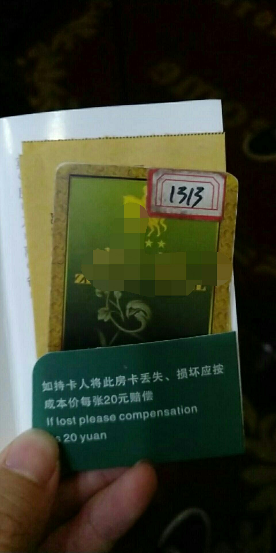 慢慢的，活成自己讨厌的模样……终于还是走到了这一步，下水是因为前渣男友，93 / 作者:张氏孤儿 / 