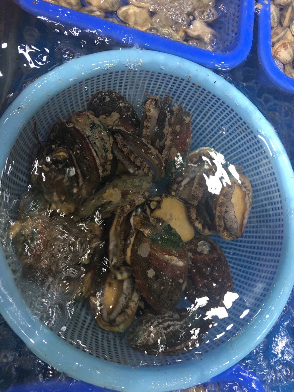 来呀快活啊！有喜欢的兄弟不。

33 / 作者:XHBAOBAO / 