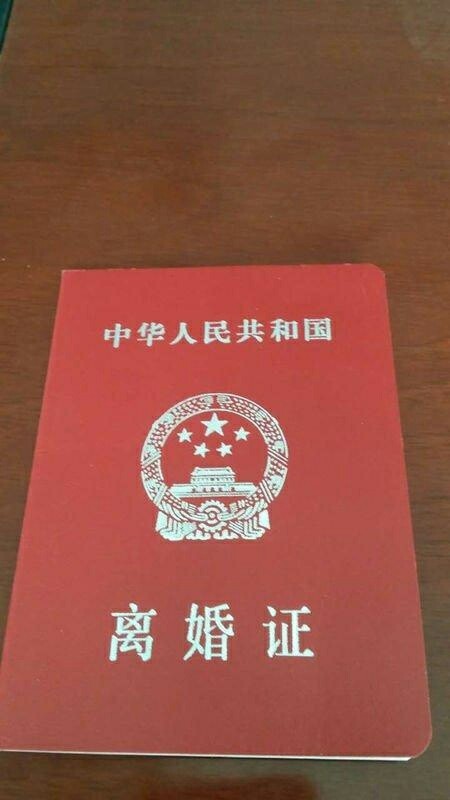 宁波系的狗们请关照好你们的家人吧老哥一早已离婚，已买好去宁波的火车票，老4 / 作者:风雨中守候 / 