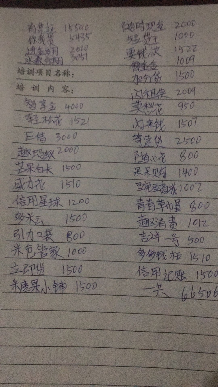 要疯了  今天还了7笔钱  还有七家还不上了今天还了7家高泡  海螺商城还完降额33 / 作者:韩韩168 / 