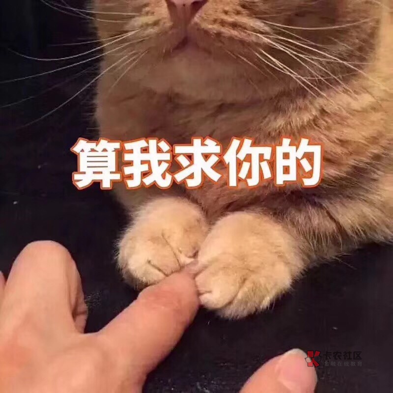 强制第23天,还是恐慌,几个问题想请问。妹子的强制路并不好走,20多天来还是31 / 作者:水至深则无鱼 / 强制第23天,还是恐慌,几个问题想请问。妹子的强制路并不好走,20多天来还是31 / 作者:水至深则无鱼 /