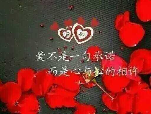关于农行信用卡问题农行卡额度10万用了三年没有提额度请大神帮忙解决方案


25 / 作者:等爱的我等到了 / 