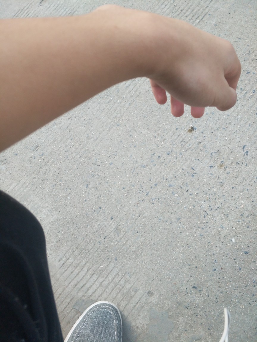 中秋节流浪，下场就是这样，哎，又中秋节流浪，下场就是这样，哎，又饿又困

78 / 作者:大傻ajs / 