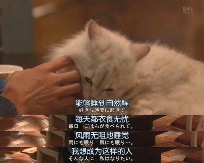 我陷在赌博里面太深了，我的人生完我陷在赌博里面太深了，我的人生完蛋了，老71 / 作者:神投手 / 