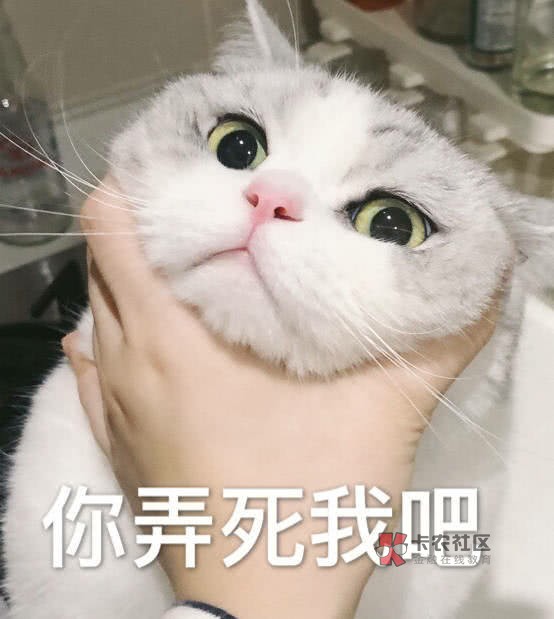 佛系青年强制路一个多月的强制假即 佛系青年强制92 / 作者:岸上旳鱼 / 佛系青年强制路一个多月的强制假即 佛系青年强制92 / 作者:岸上旳鱼 /