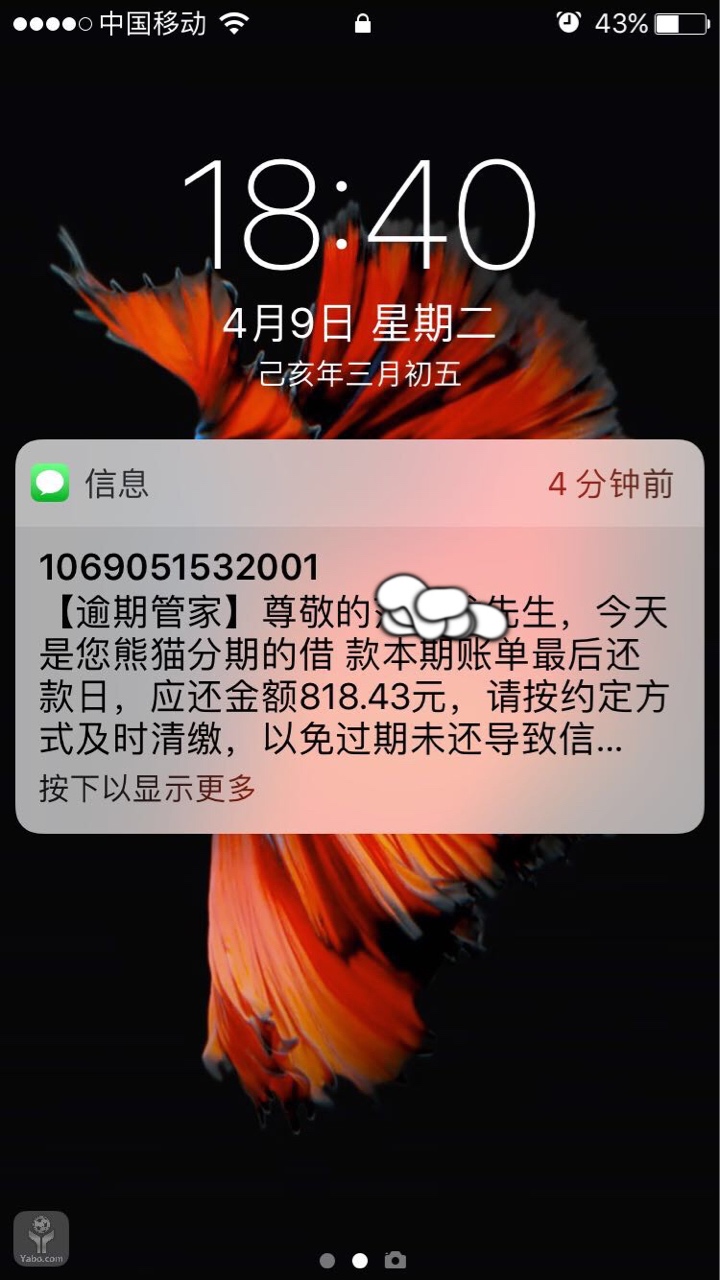 唉，又要多一家催收唉，又要多一家催收

0 / 作者:fffzzz / 