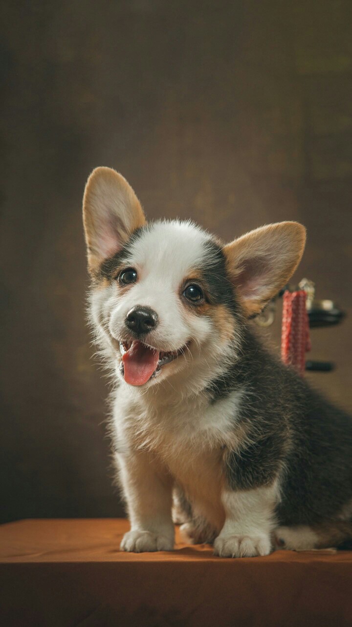 中午过去了运营商认证三次，秒过得中午过去了运营商认证三次，秒过得劲

66 / 作者:啊干就完了 / 