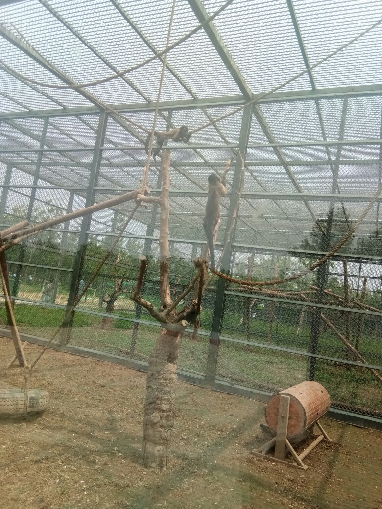 老哥们有14以上的口子吗，分期的老哥们有14以上的口子吗，分期的秒拒，大家都66 / 作者:上岸走路 / 