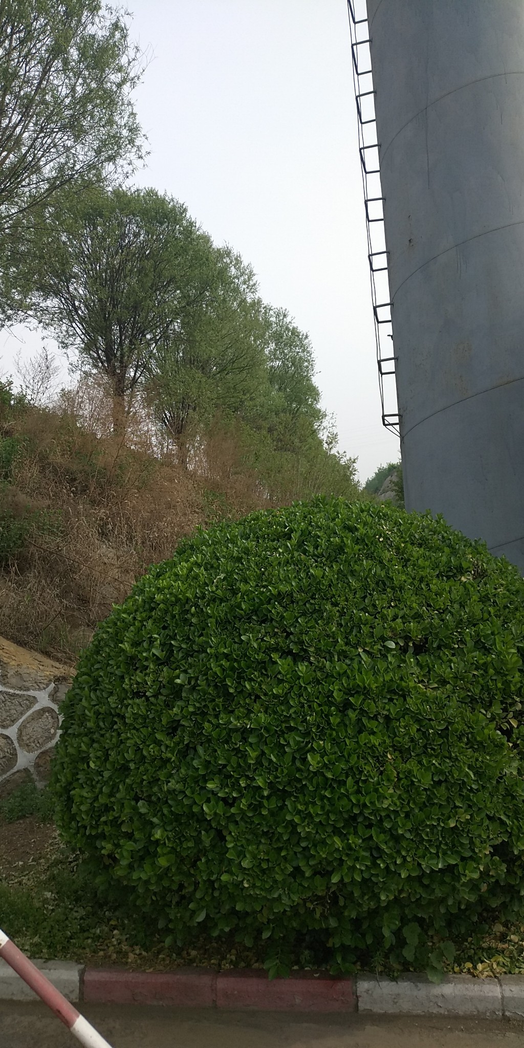 正规大额贷款有哪几个？资质芝麻分正规大额贷款有哪几个？资质芝麻分745，信28 / 作者:踏踏实实上班 / 