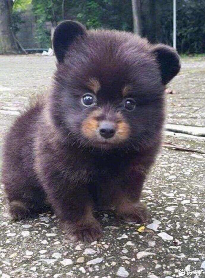 关于微信支付分酒店闪住问题，我有关于微信支付分酒店闪住问题，我有几个疑问54 / 作者:QQ星 / 