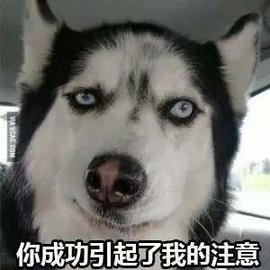 大神们，这个要怎么怼他，大神们，这个要怎么怼他，


55 / 作者:不死总会下款 / 