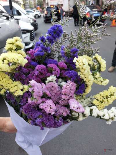 前两天过了百合花还真把花给我寄来前两天过了百合花 还真把花给我寄来了 就这89 / 作者:lssozq / 