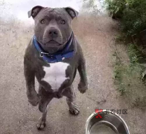 强烈建议卡农实行身份证实名制,做强烈建议卡农实行身份证实名制,做到一证一17 / 作者:张天道丶 / 强烈建议卡农实行身份证实名制,做强烈建议卡农实行身份证实名制,做到一证一17 / 作者:张天道丶 /