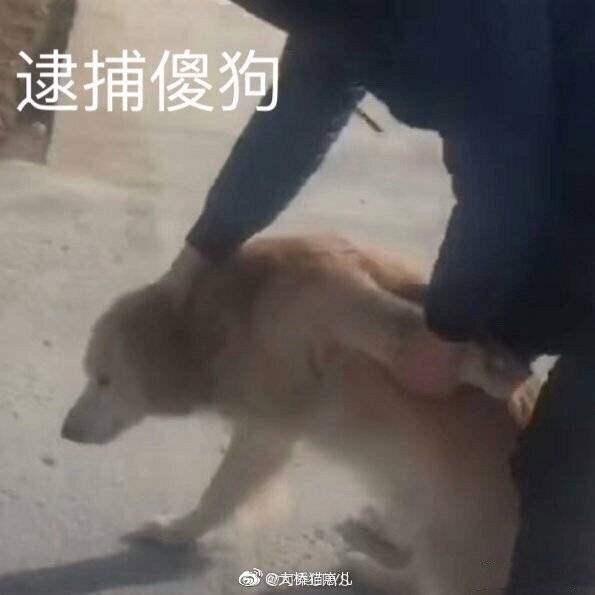 发个朋友圈，大家都知道老人家身上发个朋友圈，大家都知道老人家身上是有一股84 / 作者:lllllaa / 