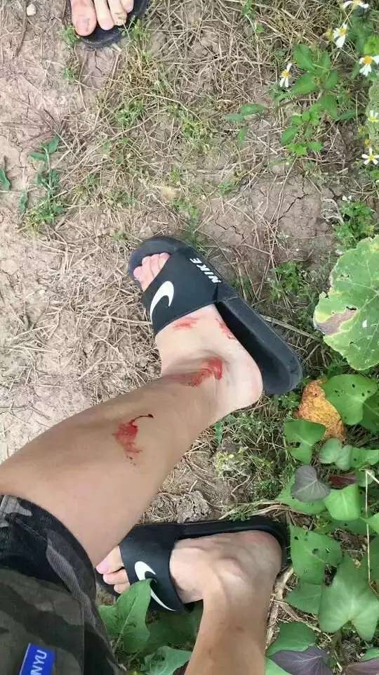 老哥们，这玩意儿没毒吧，这会脑瓜老哥们，这玩意儿没毒吧，这会脑瓜子嗡嗡的17 / 作者:我要当卡神668 / 