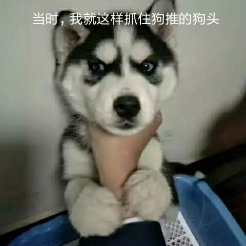 准备再回来割一波韭菜，然后你们就告诉我714全嗝屁了？上次割还是蒲公英那会儿，几个36 / 作者:不忆江南烟雨 / 