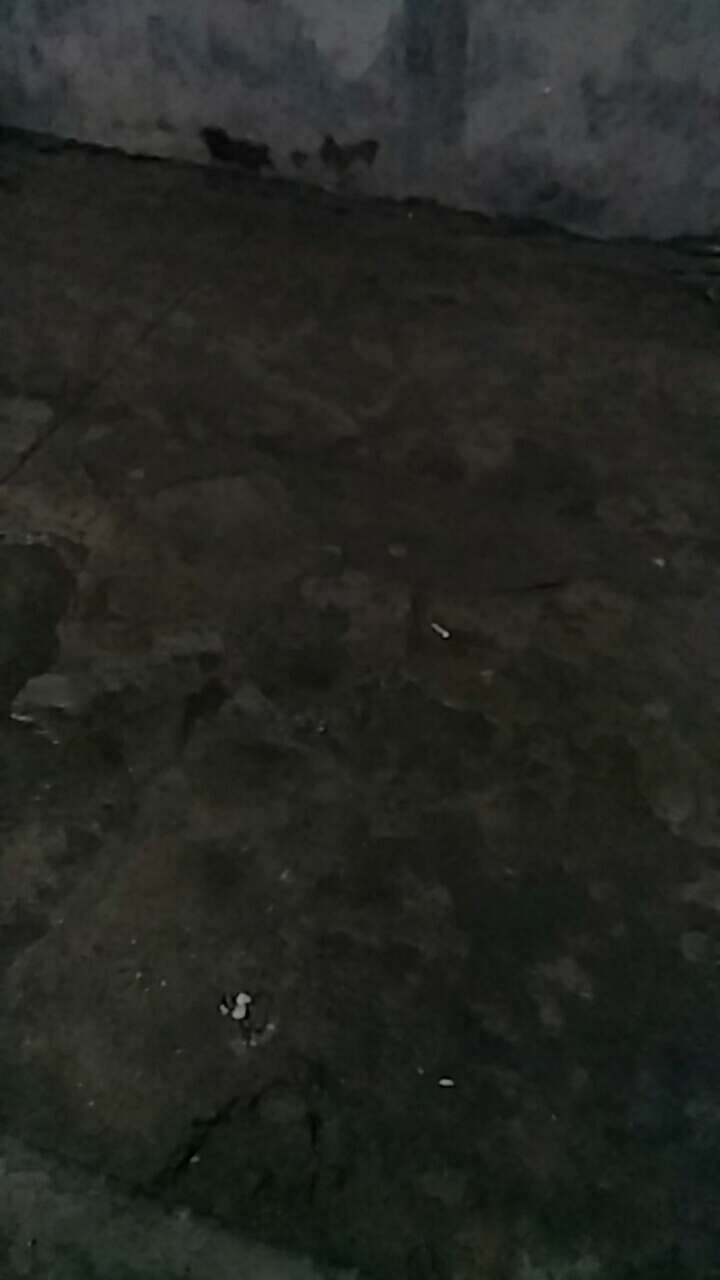 曾经沧海难为水

56 / 作者:菁瑾 / 