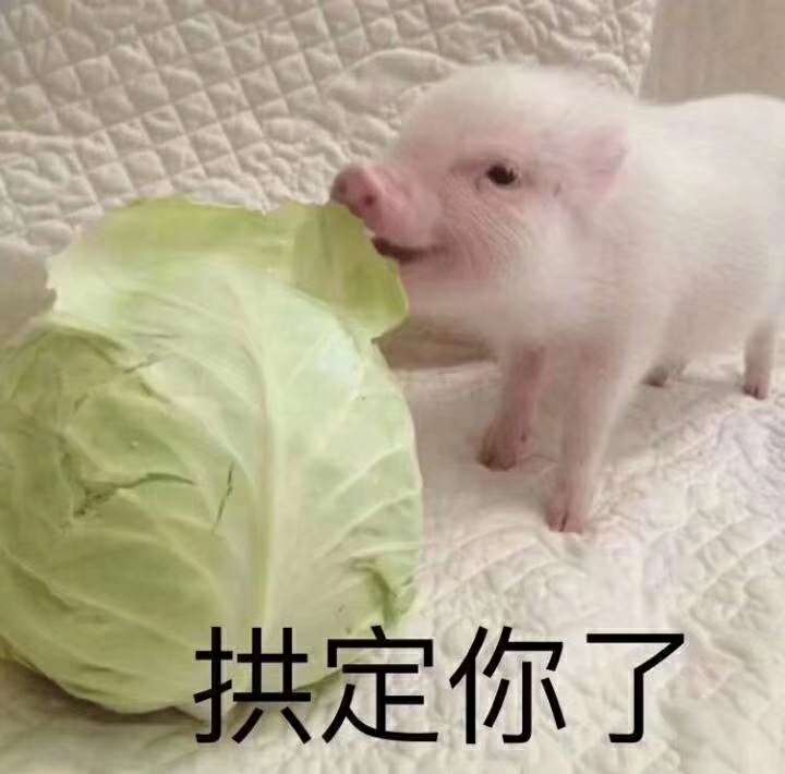 这个东西是必须买嘛，买了就能肯定下嘛，知道的老公麻烦说哈




40 / 作者:阿.浩 / 
