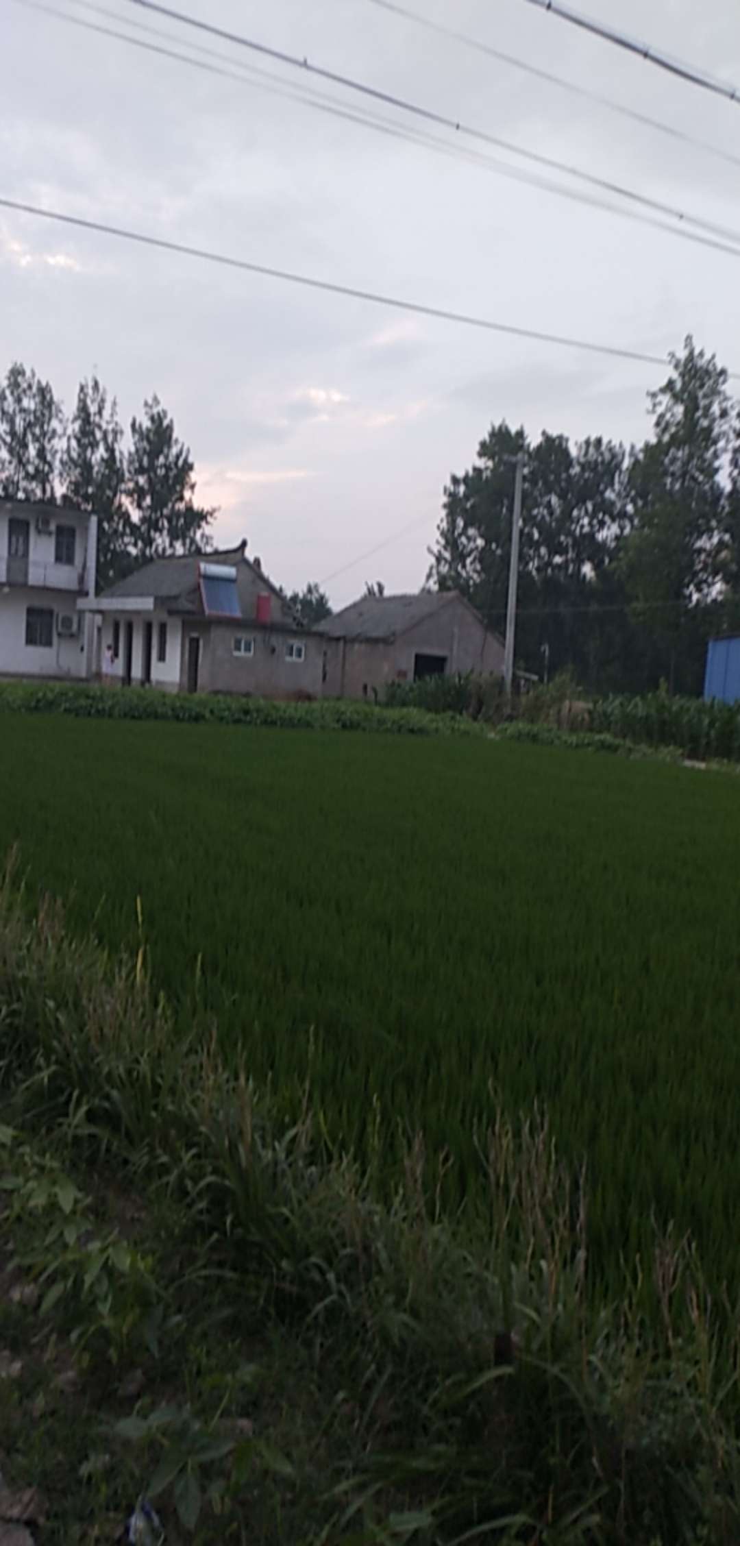 二次下水，qz80多个，昨天又被家里知道了，本来是想一走了之，结果自己没狠下心来，到20 / 作者:大王划水 / 