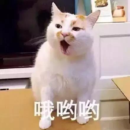 各位亲爱的俵贝们，一年一度的七夕节又到了，又来到了这个一言不合就发誓的日子了，请35 / 作者:晓晓，， / 