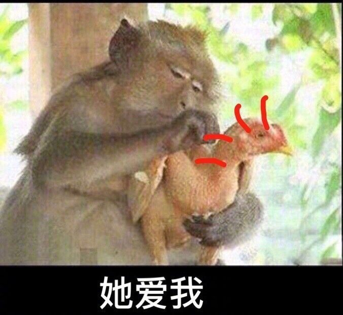 急着花求同系列。，下款了二八


88 / 作者:。。啊啊啊 / 