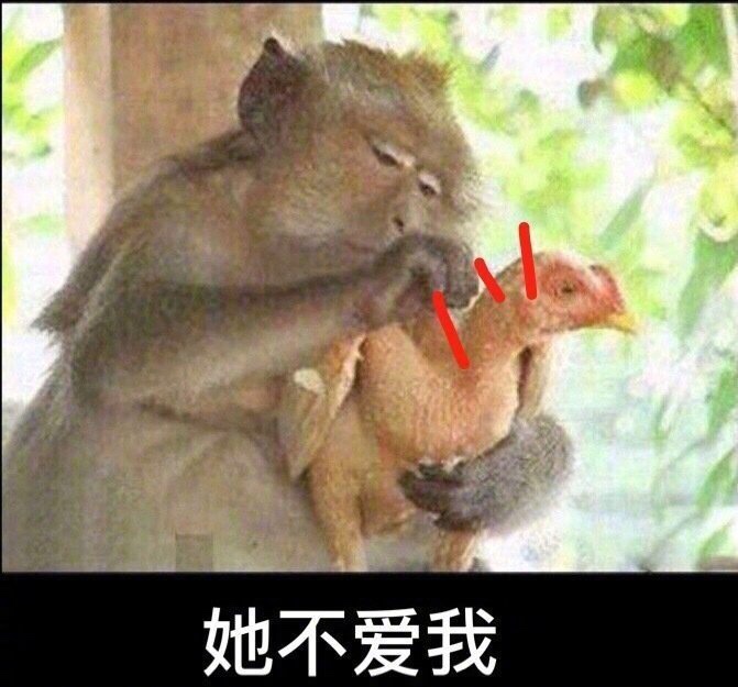 急着花求同系列。，下款了二八


65 / 作者:。。啊啊啊 / 