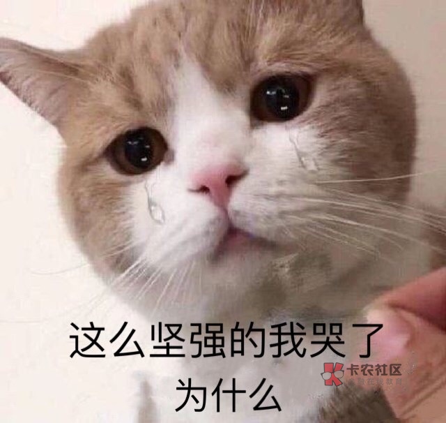 还差广发3千 就彻底上岸了
没事点着京东金条玩 给我下5千
本想一次性全还进去 但是47 / 作者:少女O / 还差广发3千 就彻底上岸了
没事点着京东金条玩 给我下5千
本想一次性全还进去 但是47 / 作者:少女O /