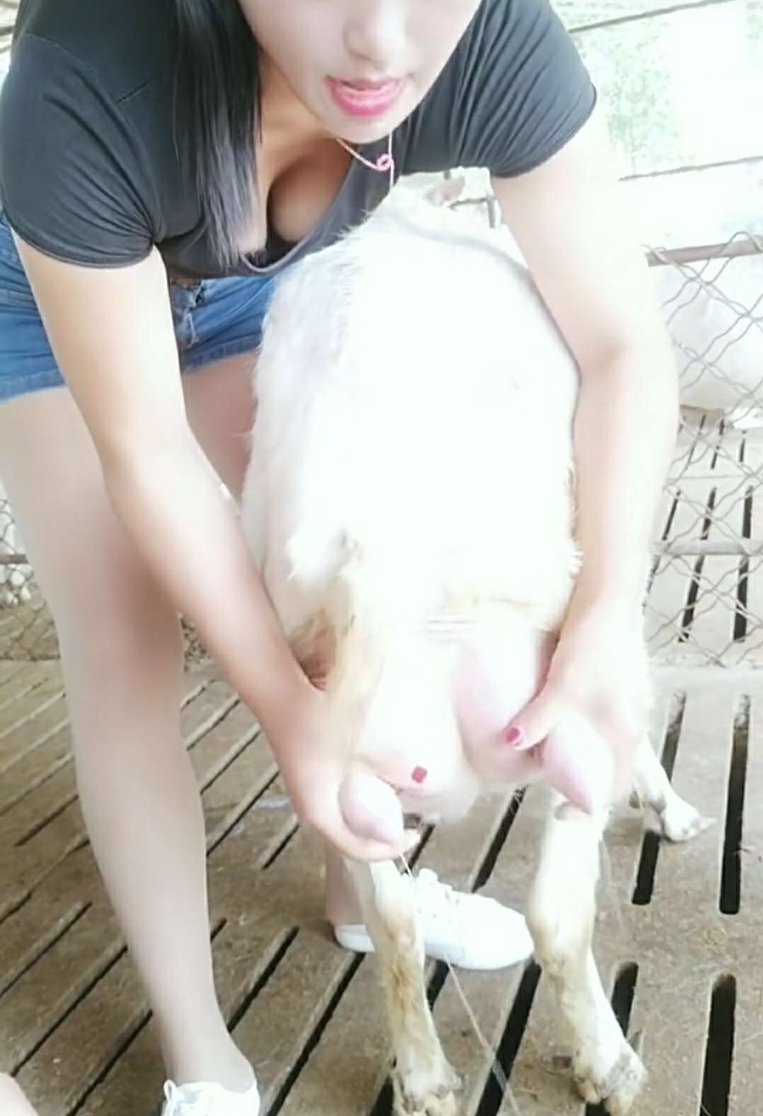 这技术好

89 / 作者:可以可以啊 / 