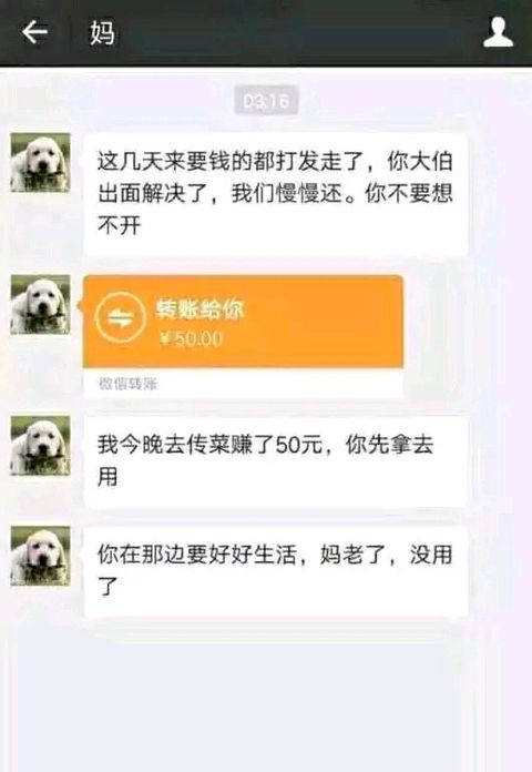 刚到工作的地方，车上醒来突然看见父母微信转来一千，叫我省着点花，作为堵狗的我，这82 / 作者:15571908345 / 