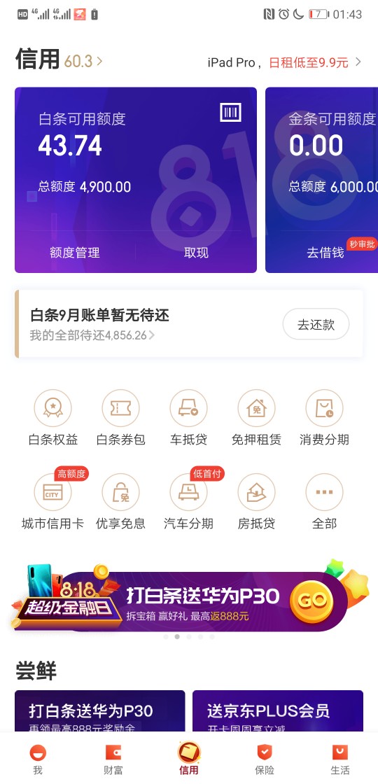 做梦都想不到，从来没在京东买过东西，白条给了4900，刚开通金条，给了6000额度，马上8 / 作者:DreamLOVE / 