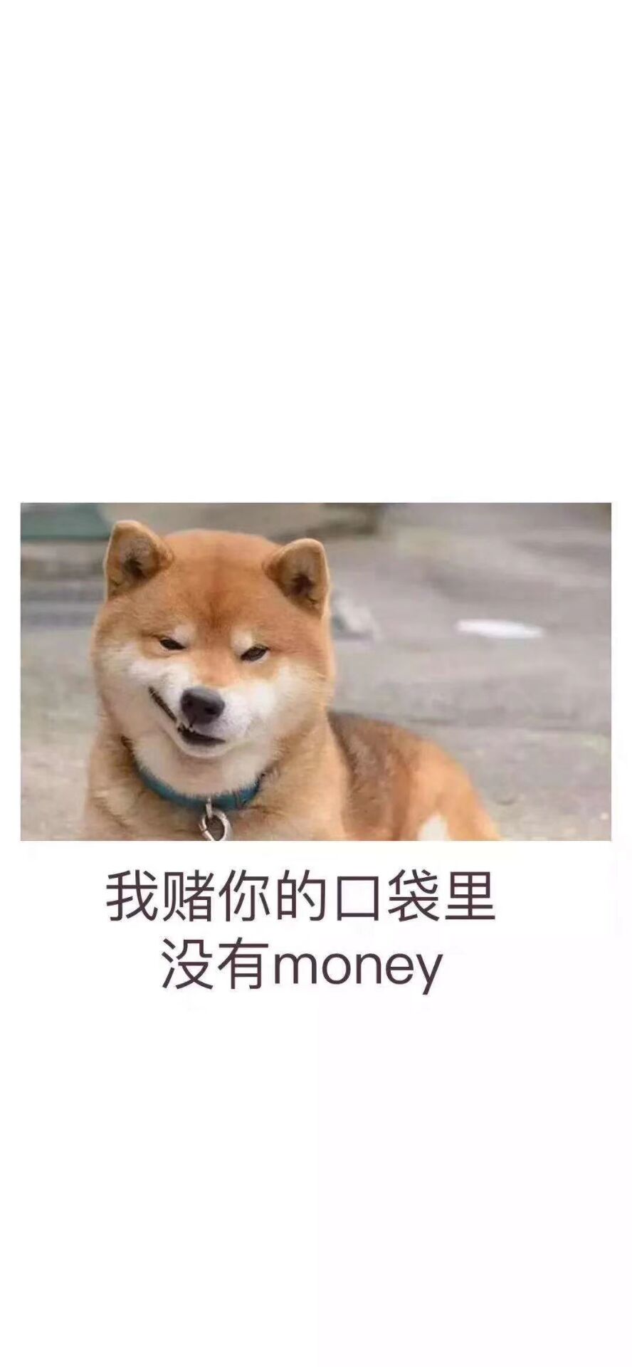 唉，都是你们的水差不多半年没有下过款了

46 / 作者:381197 / 