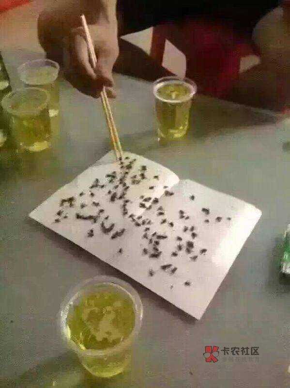 这个狗催把我拉黑了

70 / 作者:卡线 / 