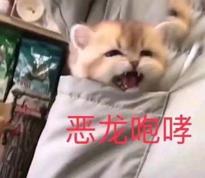 今天钱币币4连杀，本来挑选了5位真老哥，每人1888花呗，结果到截止时间过去了半个小时18 / 作者:vv77899 / 