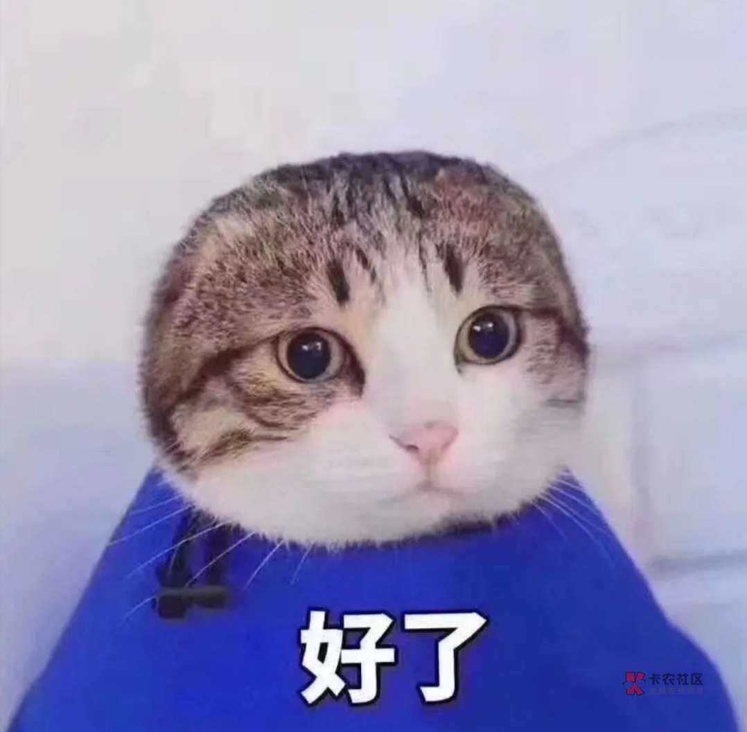 有没有玩王者厉害的老哥

37 / 作者:莫里斯 / 