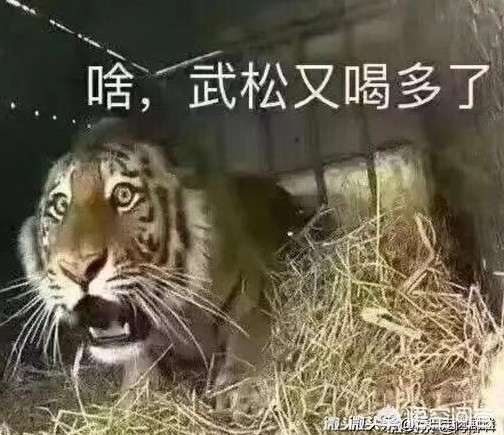 各位老哥现金巴士怎么注销啊求告知一申请就评分不足