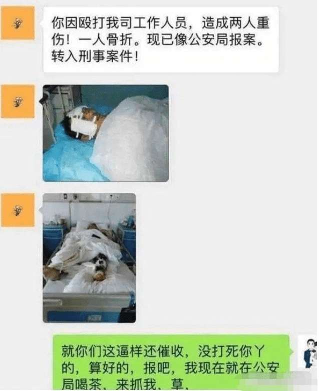 暴躁老哥，在线砍人



100 / 作者:琪大大 / 