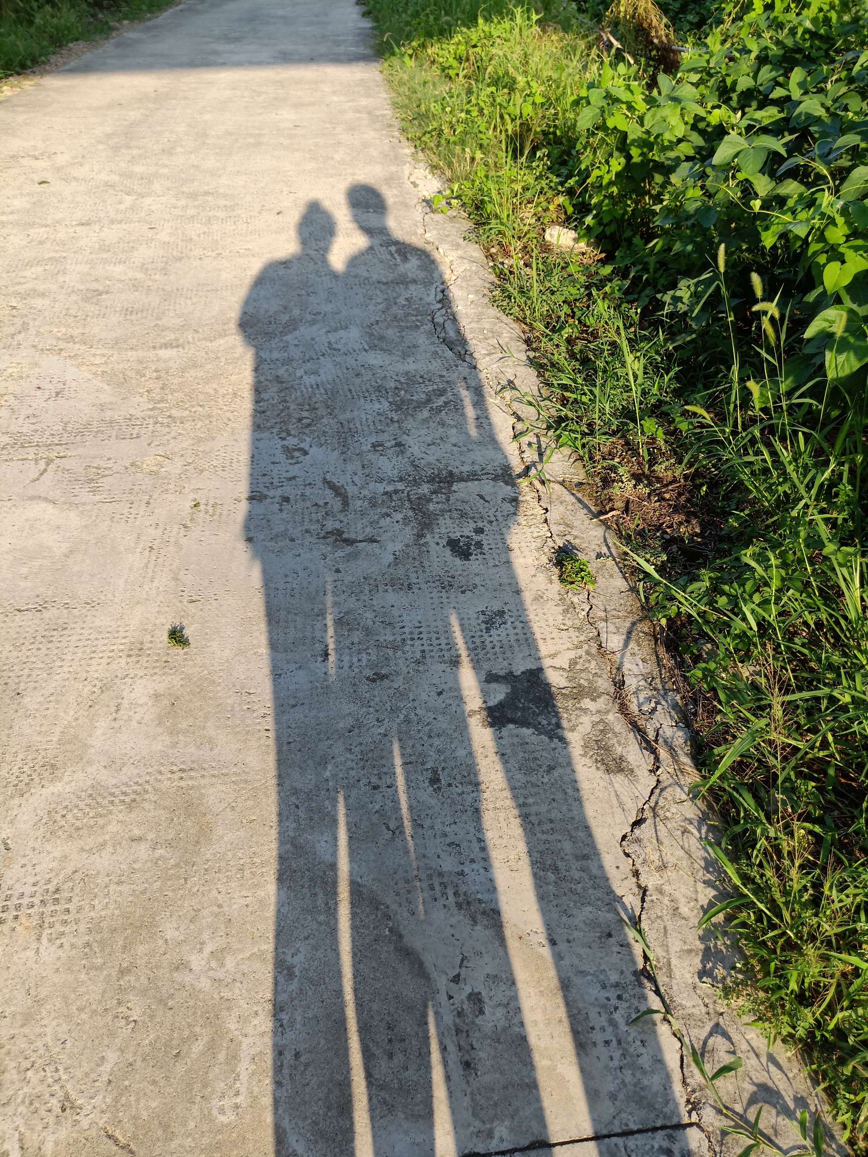 各位老哥，能不能打赏点啊，给我凑点饭钱，到现在2天了，地里偷的吃了两个红薯，没碰35 / 作者:你顾虑 / 